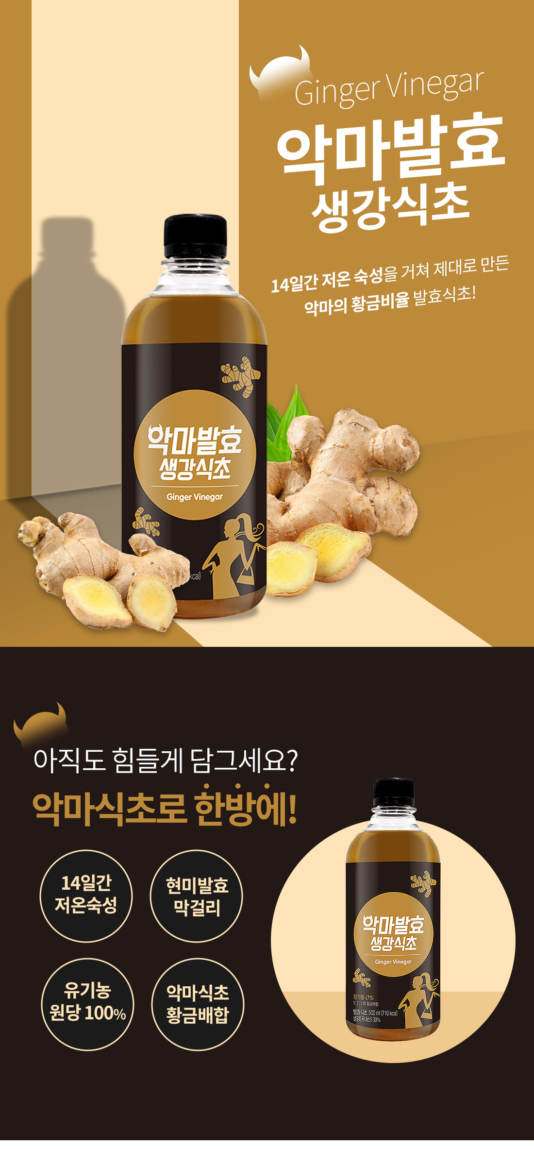 dv_vinegar_gg_tasa_01.jpg